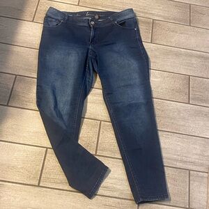 Lane Bryant Deep Indigo Skinny Jeans